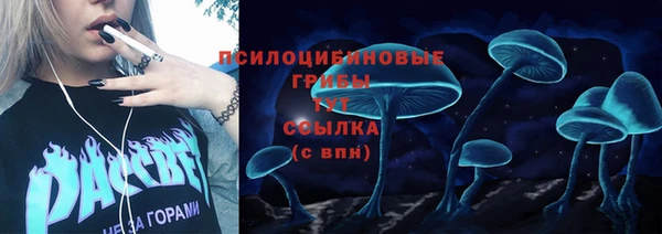 твердый Каменка