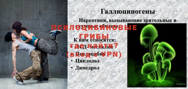 твердый Каменка