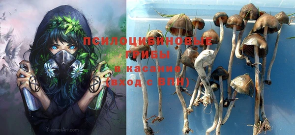 твердый Каменка