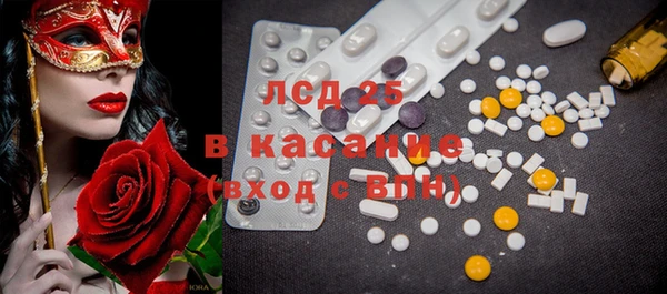 гашик Каменногорск