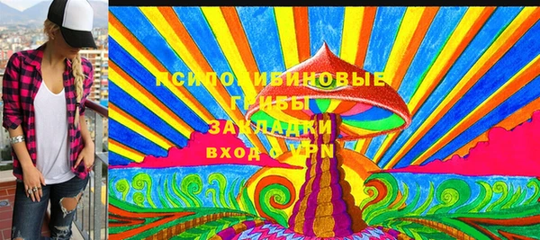 гашик Каменногорск