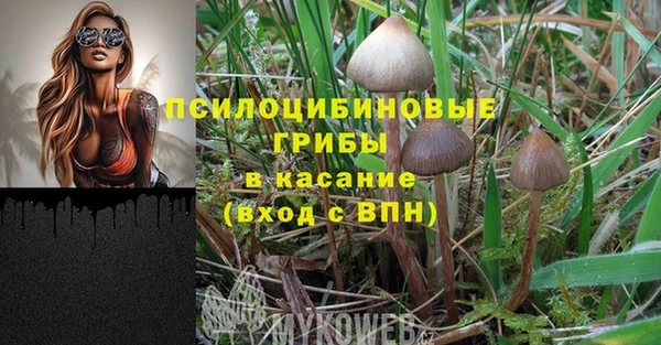 гашик Каменногорск
