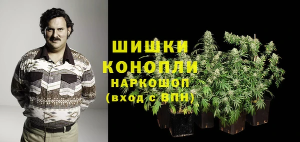гашик Каменногорск