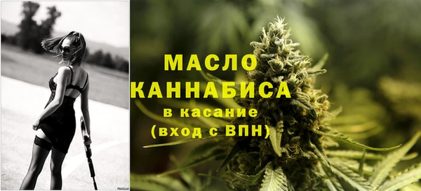 гашик Каменногорск