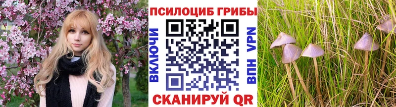 Галлюциногенные грибы мицелий  Купить  Бокситогорск 